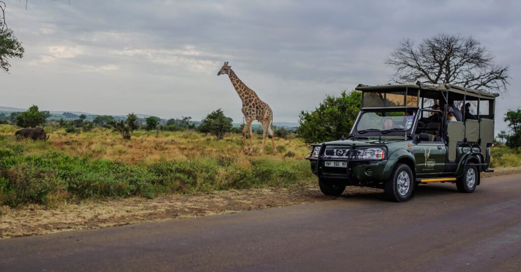 Game Drives Kruger National Park