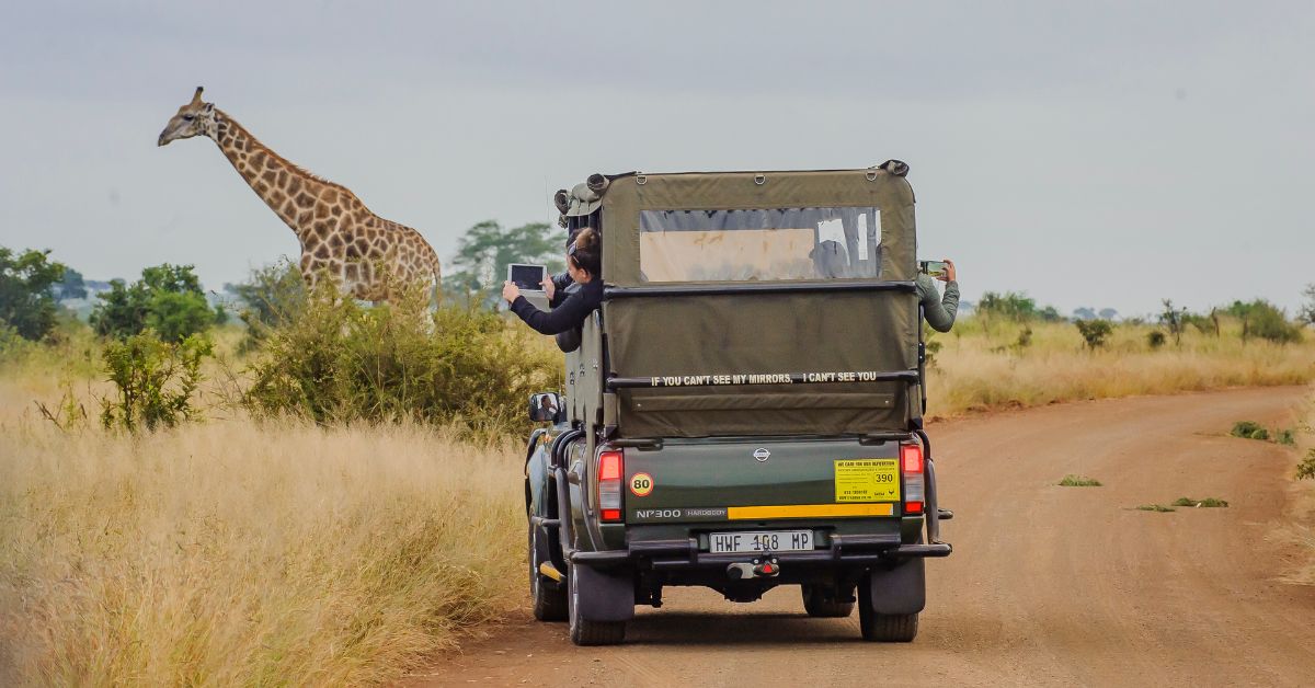 African Safari Kruger National Park