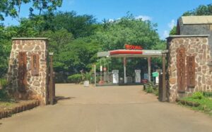 Crocodile Bridge Camp