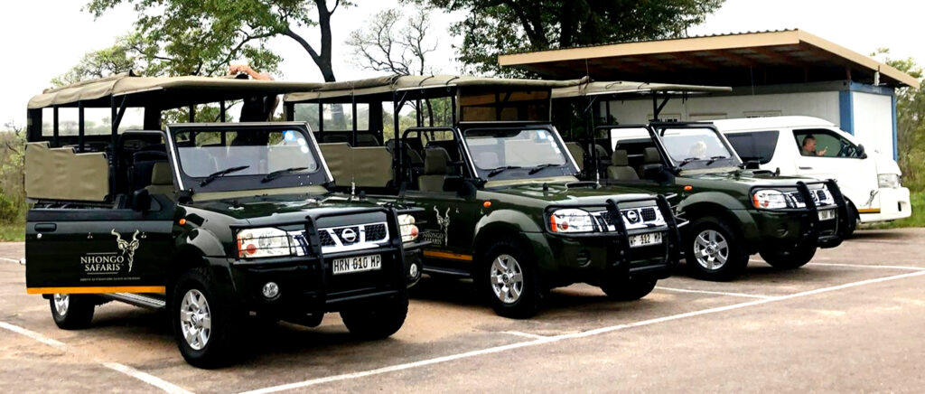Game Drives in Kruger