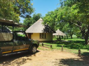 budget kruger park safari