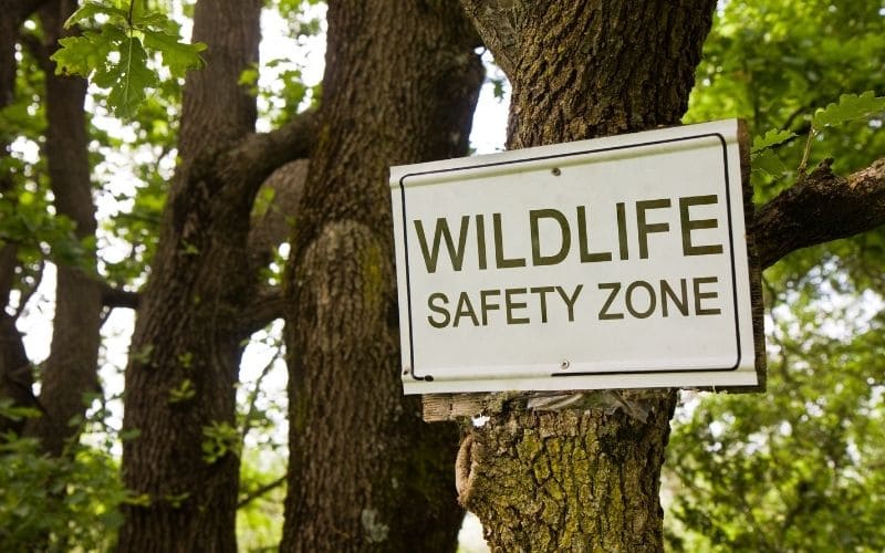 Wildlife Safety in South Africa