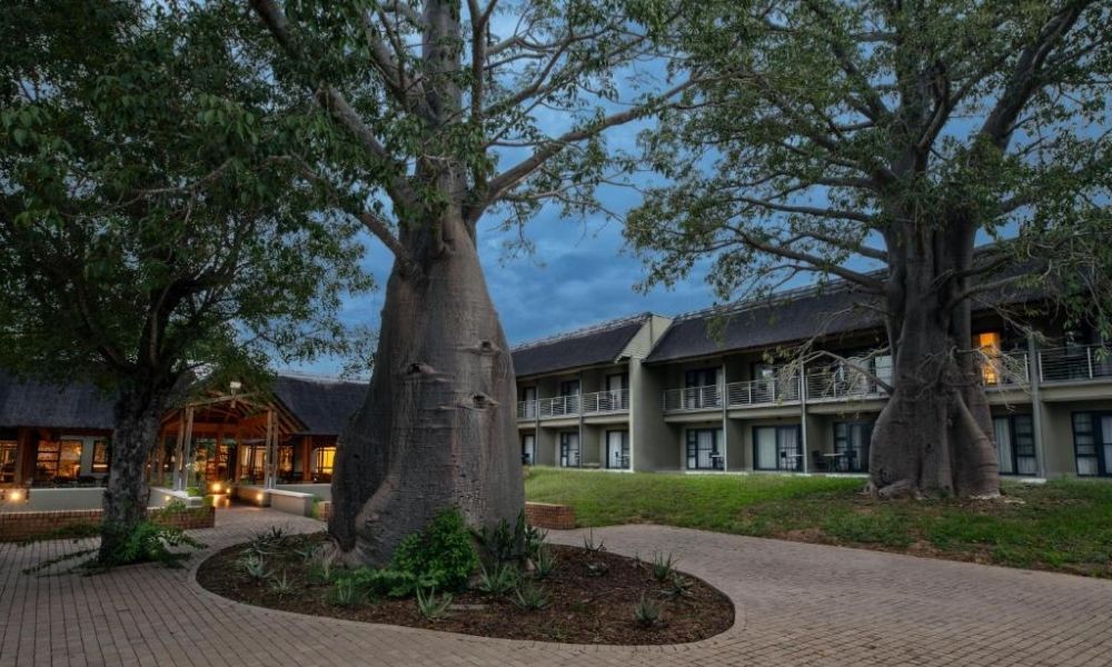 4 Day Luxury Skukuza Kruger National Park Safaris