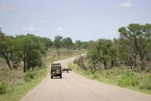 Adventure Kruger Safaris