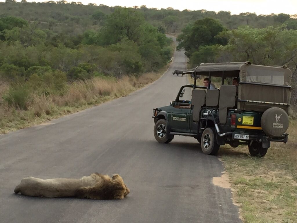 Big 5 Safaris