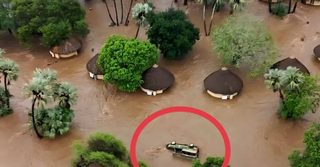 2026 Kruger National Park Floods: Impact and Recovery