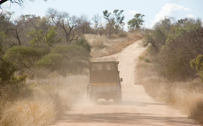 Game Drives Kruger Park Safaris