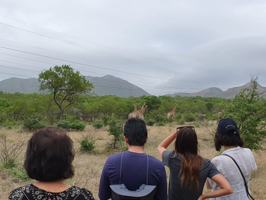 Group Walking Safari
