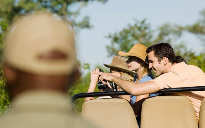 Guided Birding Kruger Park Safari