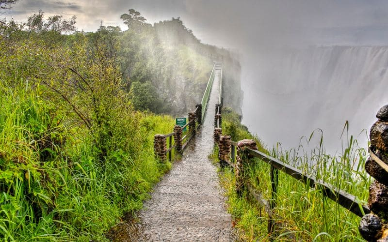 Guided Tour of the Falls