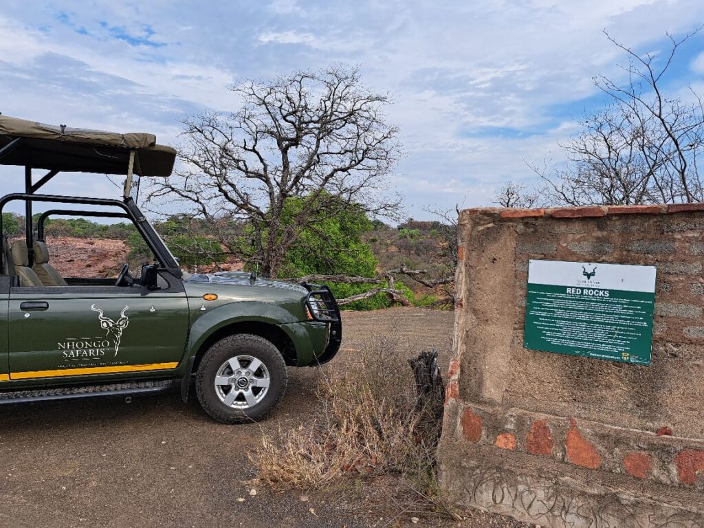 Kruger Manyeleti Safari Packages
