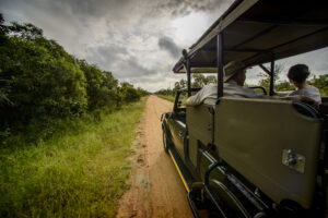 Kruger National Park Group safaris