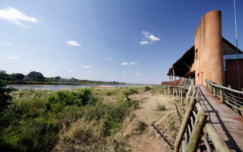 View Of Kruger National Park