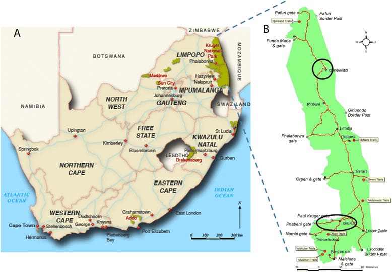Map of Kruger National Park