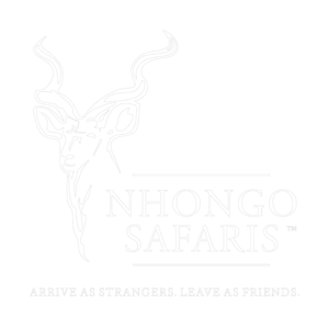 Nhongo Safaris Logo White