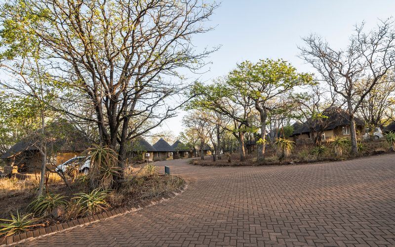 Skukuza Rest Camp: The Beating Heart of Kruger For Nature Enthusiasts