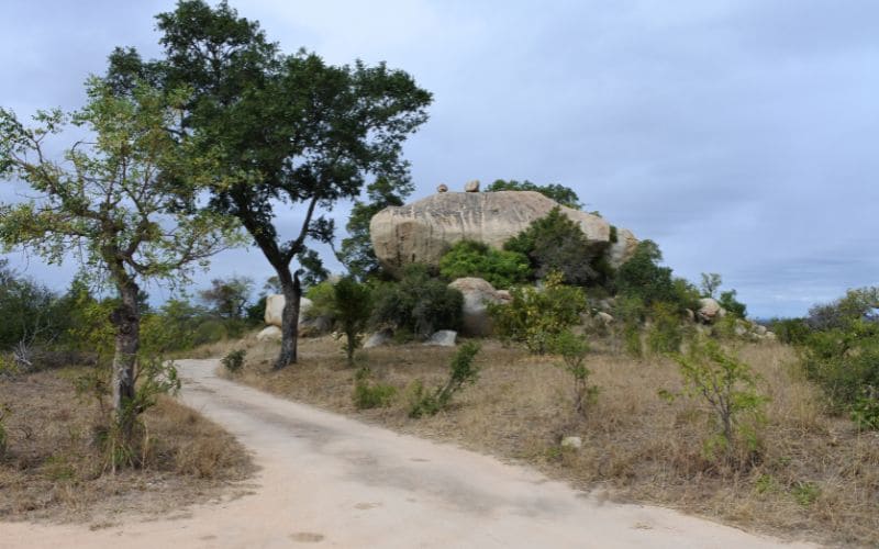 Views in the Kruger Park