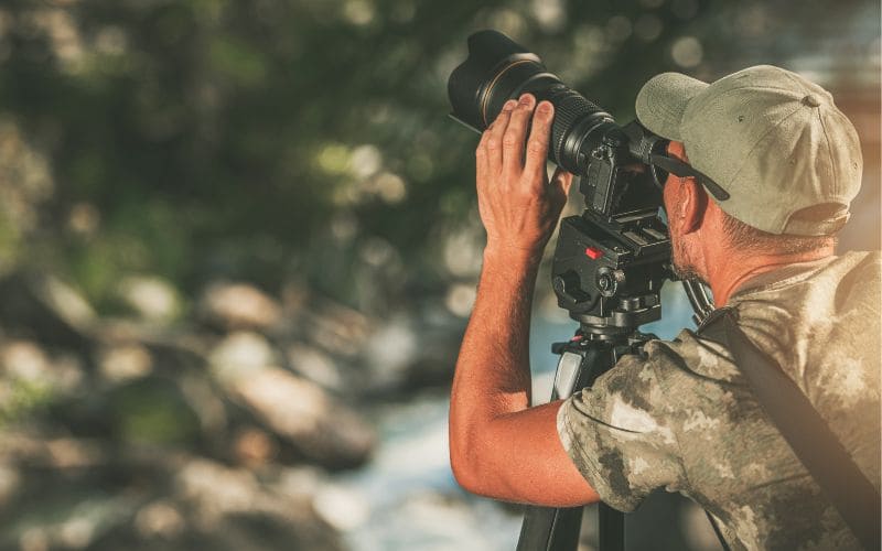 Wildlife Photography