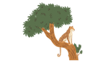Leopard in a Tree Animation