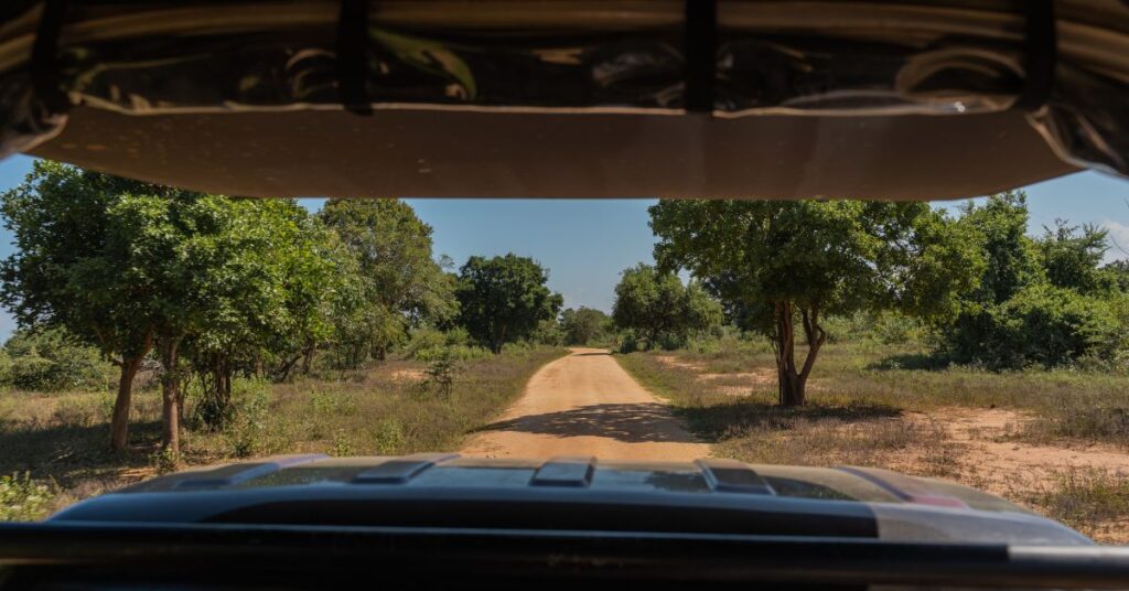The view from inside an open game viewer driving on a dirt road through the bushveld, booked with top safari companies kruger national park.