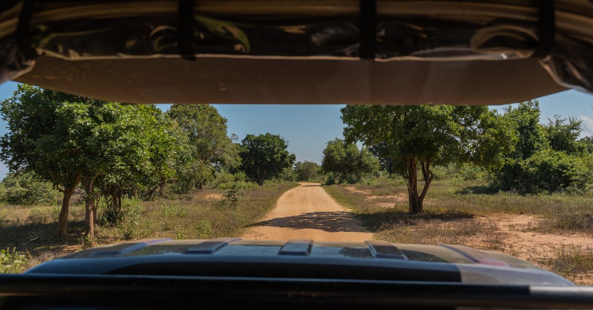 The view from inside an open game viewer driving on a dirt road through the bushveld, booked with top safari companies kruger national park.