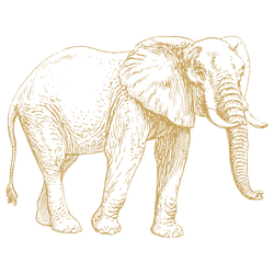 elephant-icon-featured
