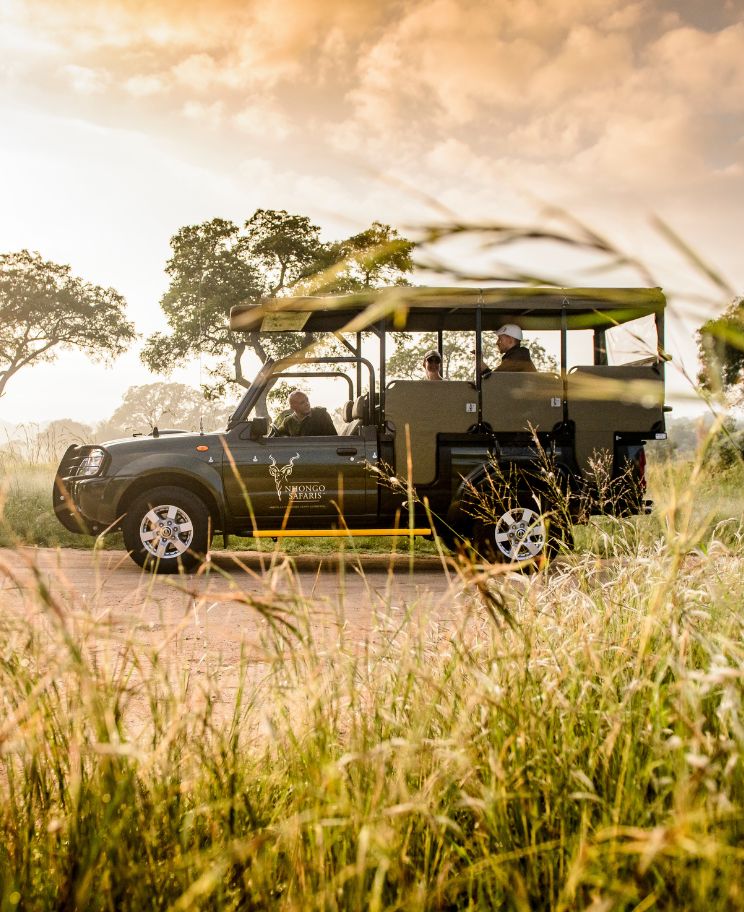 An open-top game drive vehicle parked in tall grass during guided Kruger park safaris.