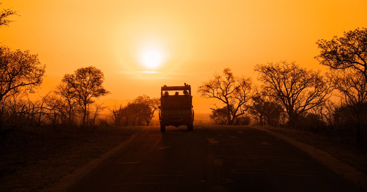An open safari vehicle with tourists driving down a tarred road toward a vibrant orange African sunset in Kruger National Park.