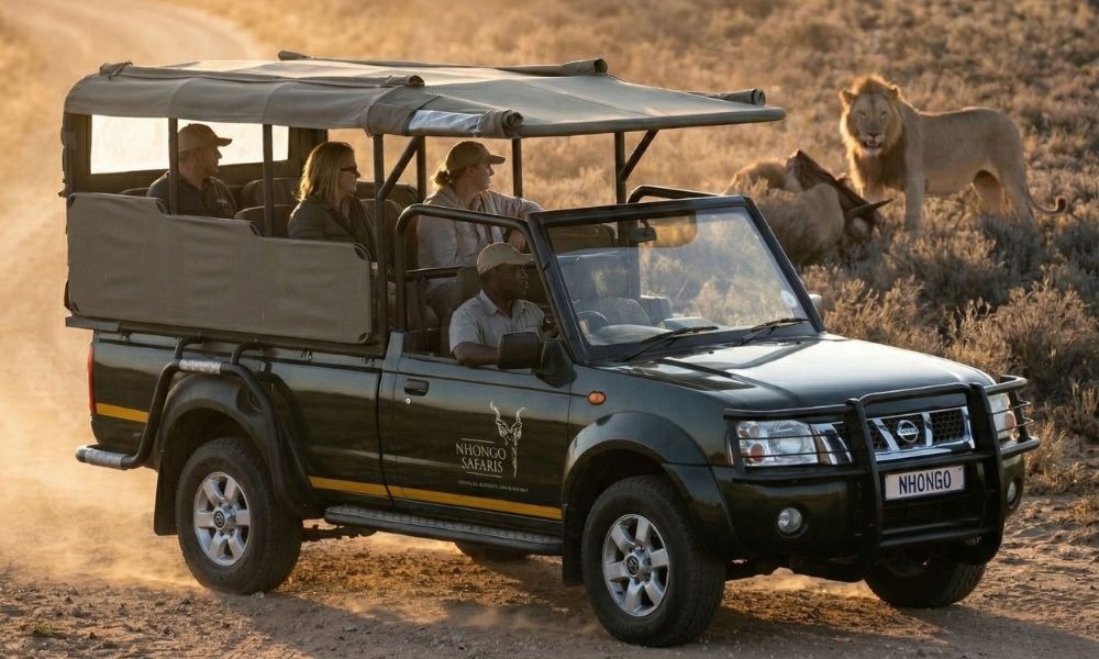 An open-sided green safari vehicle filled with tourists driving through the bushveld at golden hour during a Kruger safari.
