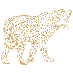 leopard-icon-featured