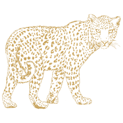 leopard-icon-featured