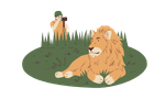 Cartoon Lion Photography