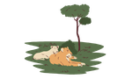 cartoon Lions Laying On Grass Animation