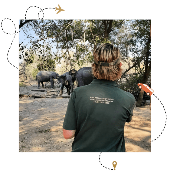 kruger park safari experts Top rated safari guides tracking wildlife in the lowveld