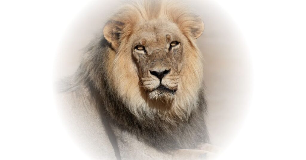 Kruger National Park Prices 2026: What to Expect This Year