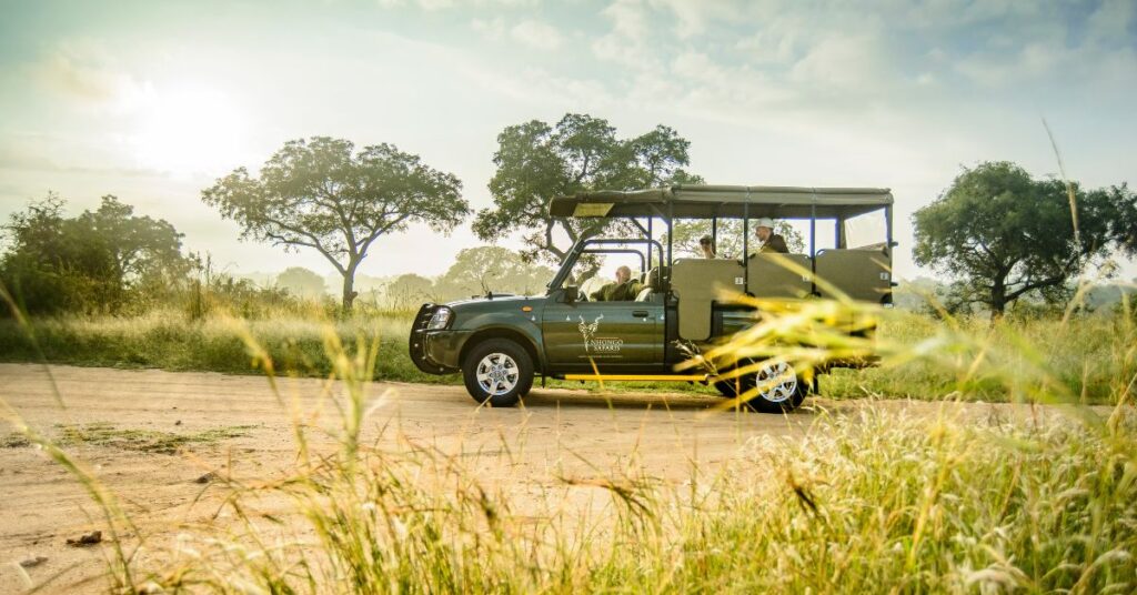 open vehicle in the kruger national park with guests