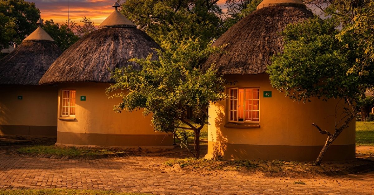 Budget Kruger Safaris from Johannesburg