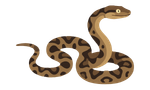 African Reptiles Icon