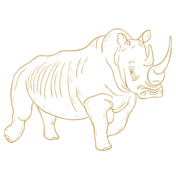 rhino-icon-featured