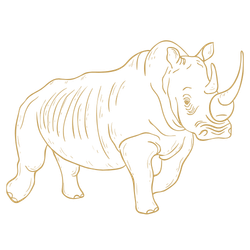 rhino-icon-featured