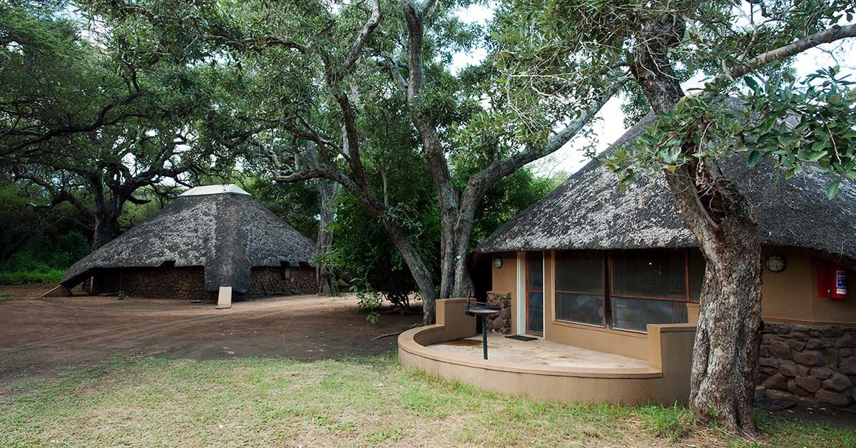 Two large circular thatched bungalows with stone bases and private patios, shaded by large leafy trees at Roodewal Bush Lodge.
