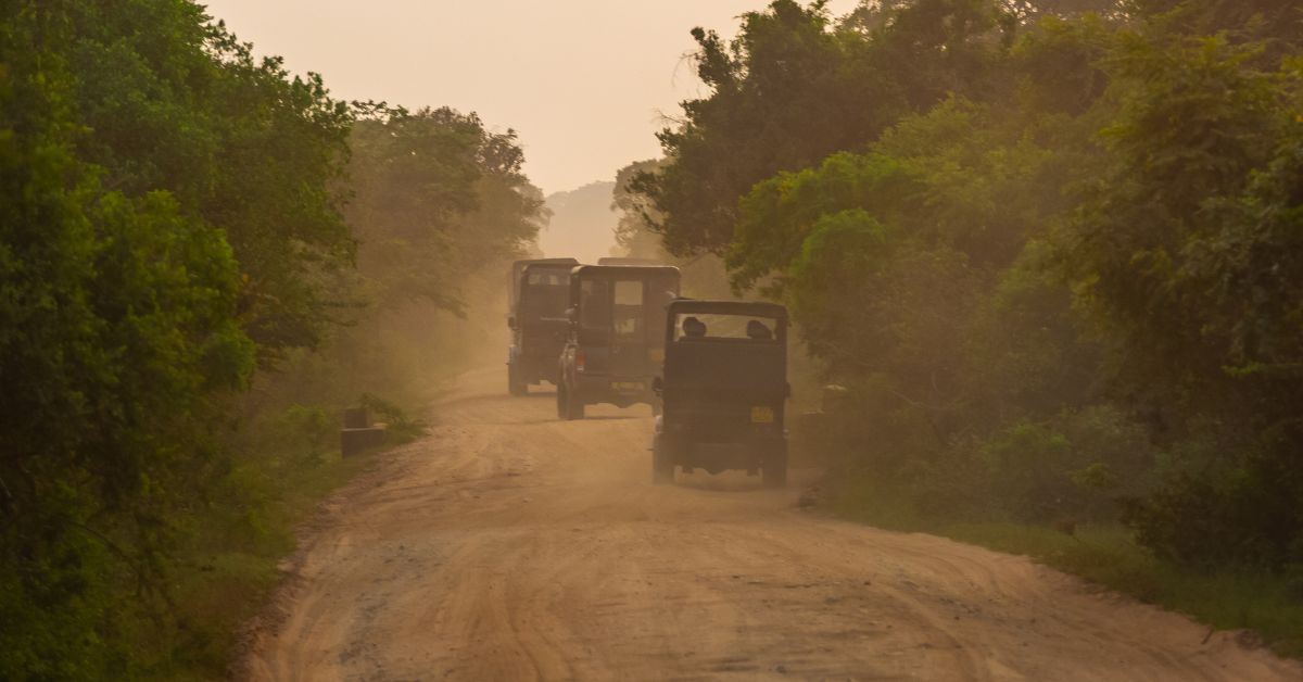 safari companies in kruger National Park Open game drive vehicles kicking up dust on a gravel road while on a guided tour operated by professional safari companies.
