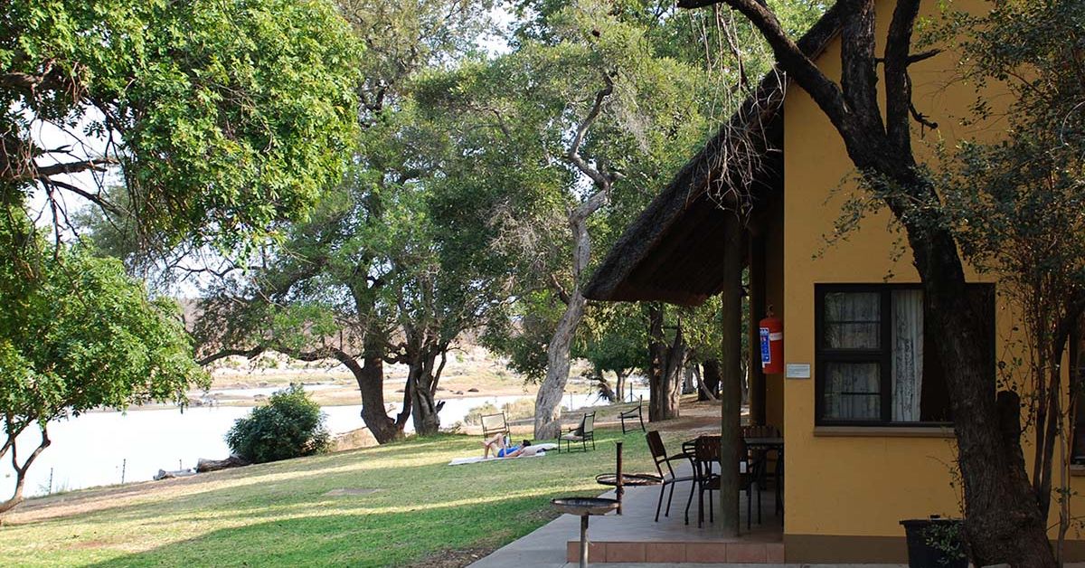 A row of well-maintained thatched chalets at Shimuwini Bushveld Camp surrounded by lush trees near the water's edge.