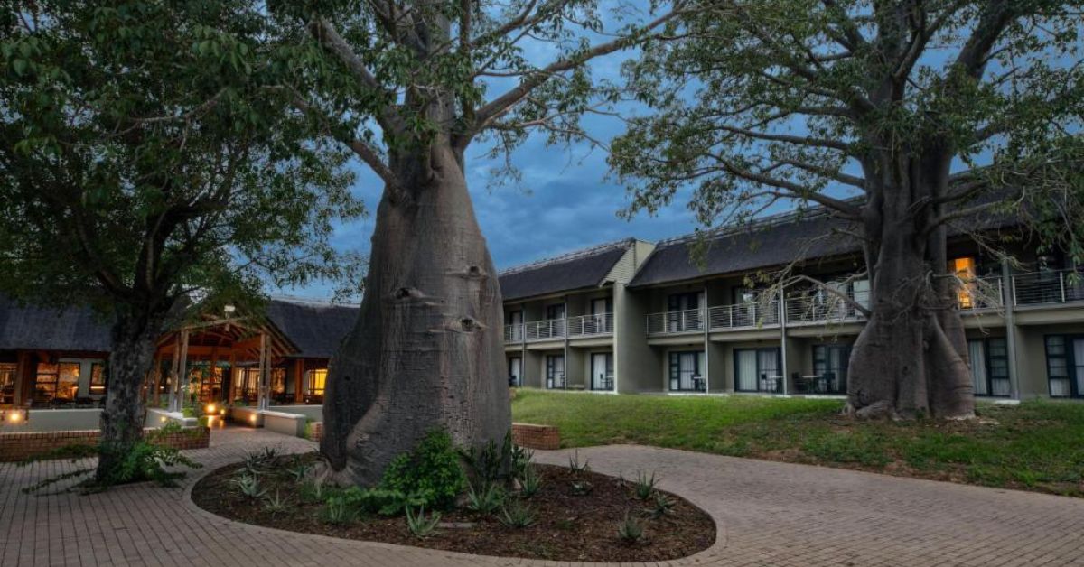 The exterior facade and landscaped pathways featuring baobab trees at Skukuza Safari Lodge.