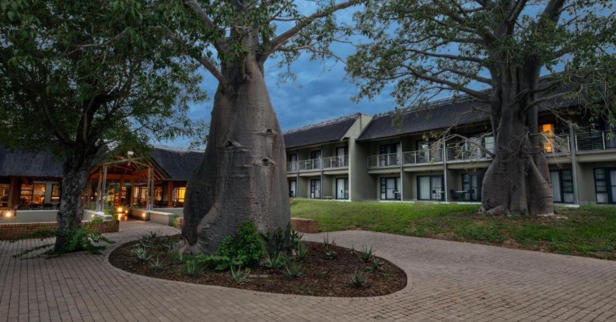 A modern two-story safari lodge building with glass doors and balconies, flanked by two large Baobab trees and a brick-paved driveway.
