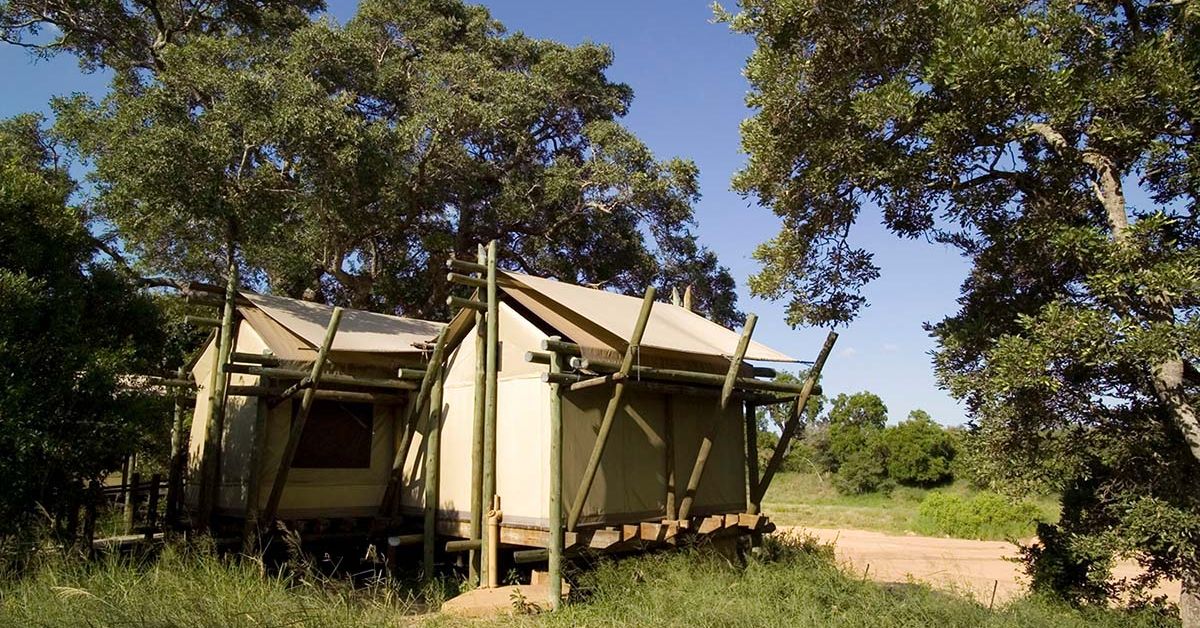A large canvas safari tent on a raised wooden deck surrounded by thick green trees and savanna grass at Tamboti Tent Camp.